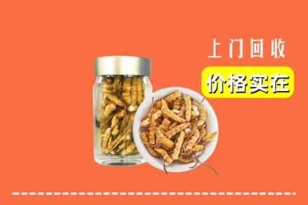 收购资讯:镇江丹徒区回收散虫草