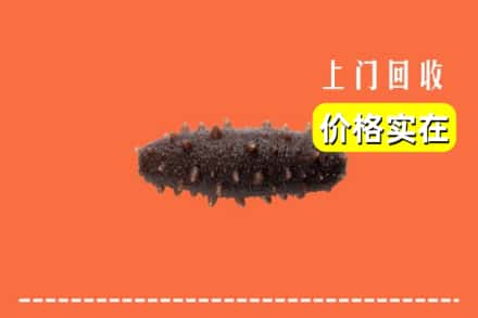 收购资讯:镇江丹徒区回收海参