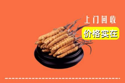 镇江丹徒区回收冬虫夏草